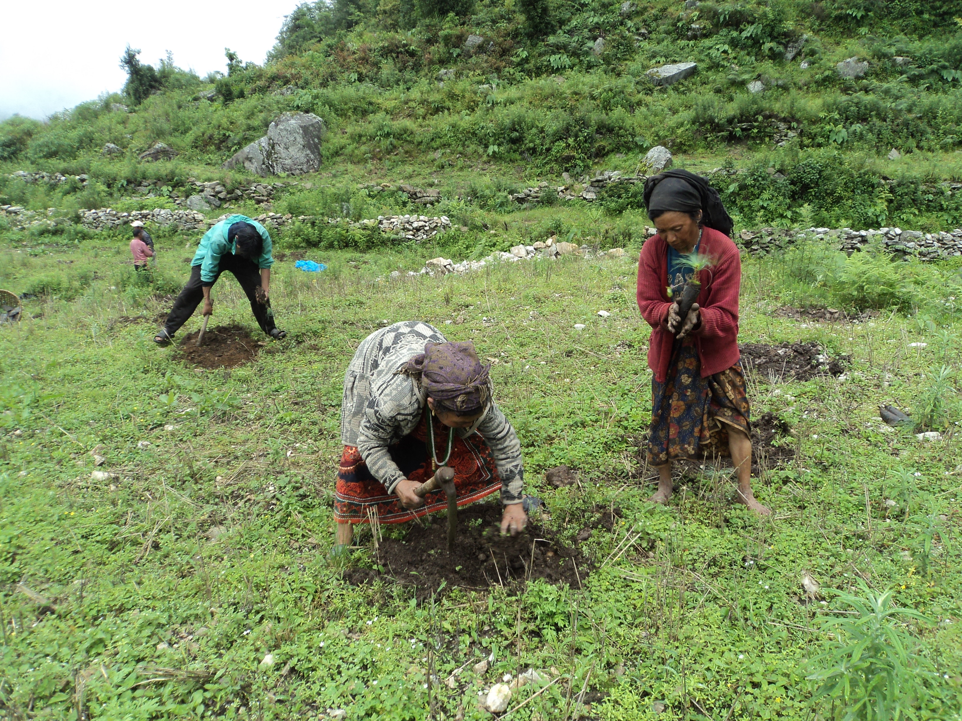 Himalayan Eye Project Nepal