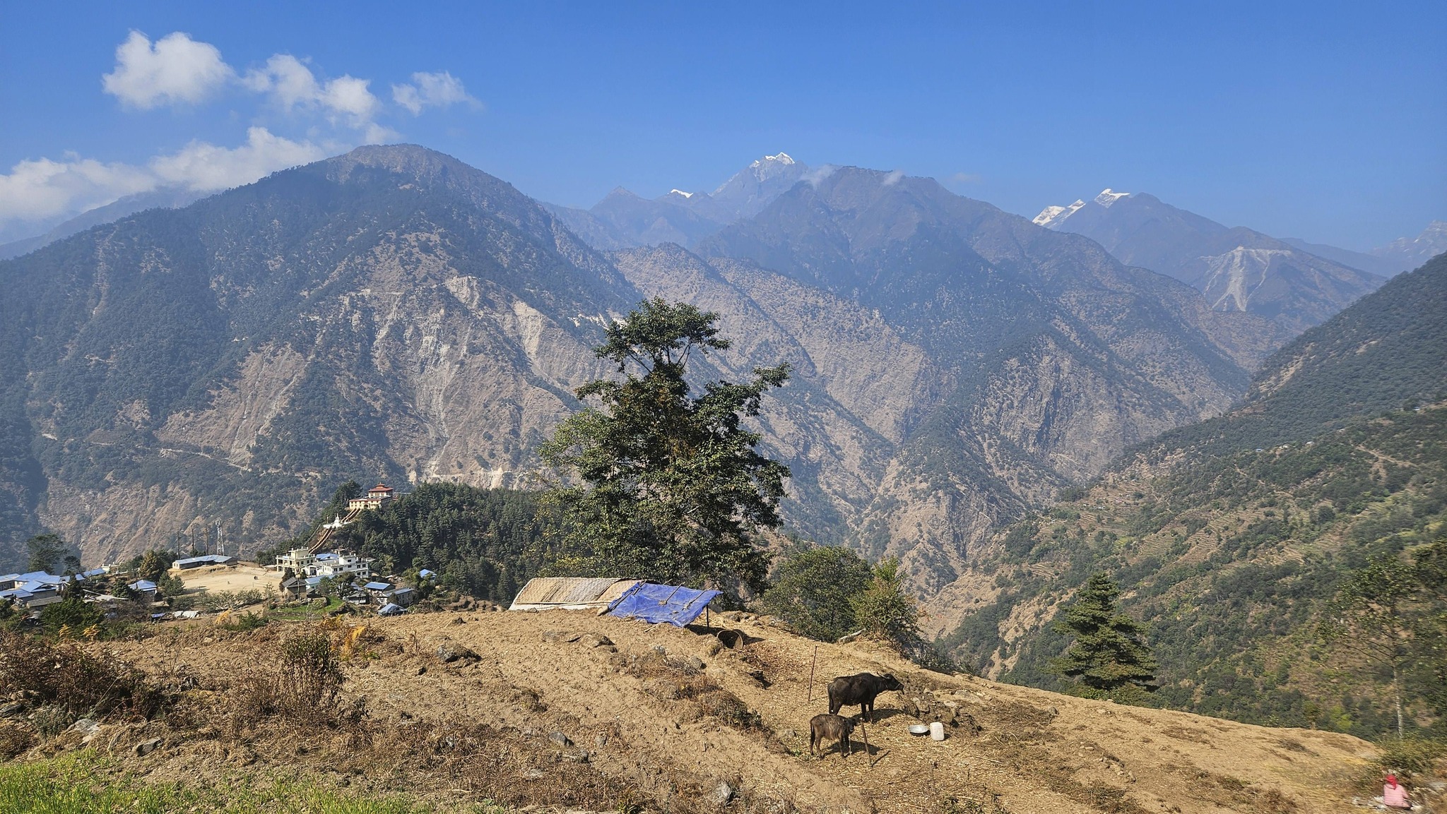 Himalayan Eye Project Nepal